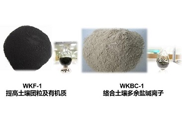 中国·304永利(集团有限公司)-官方网站