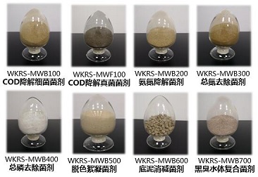 中国·304永利(集团有限公司)-官方网站